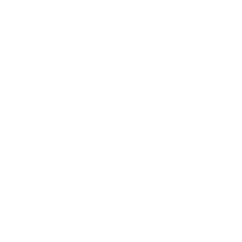 The International Foundation for Electoral Systems (IFES) logo